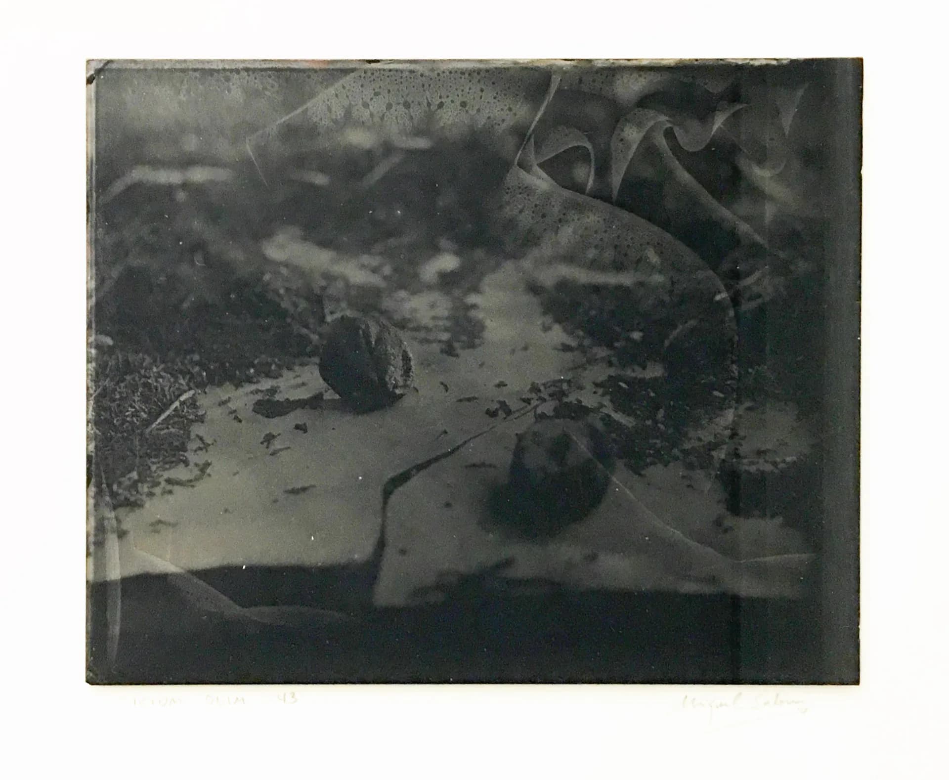 Serie Ictum Olim #43