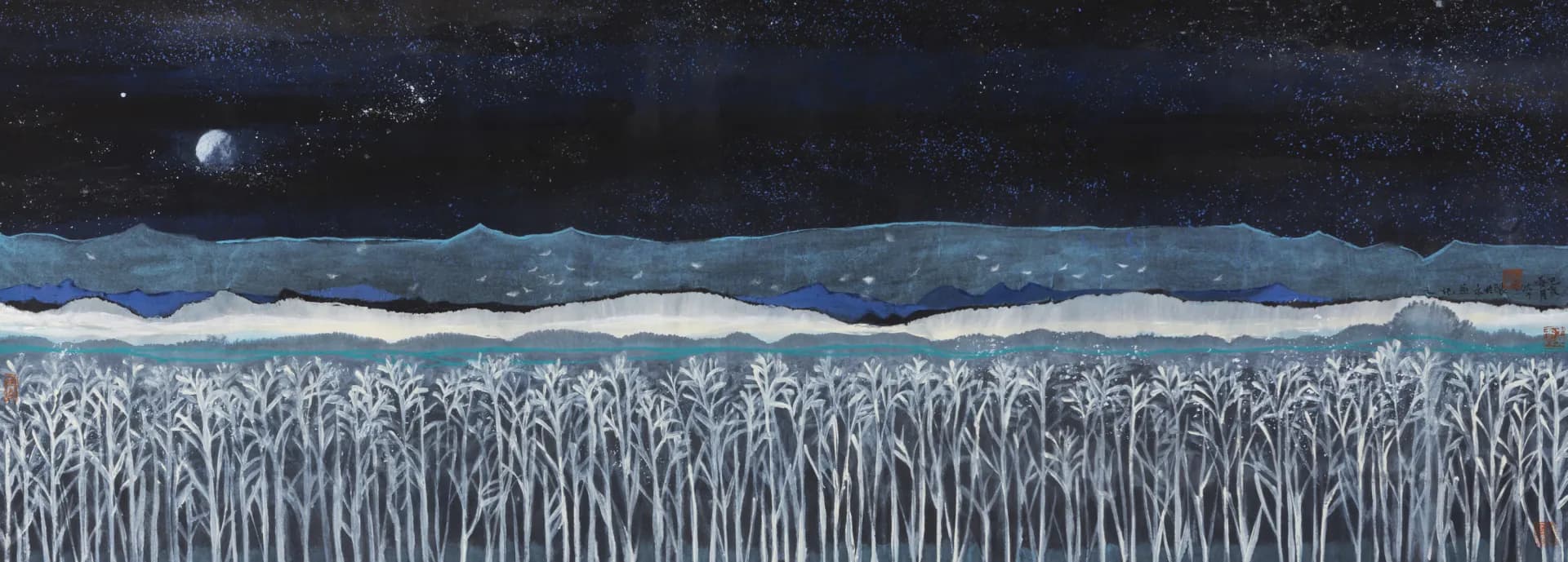 The Light of A Thousand Constellations